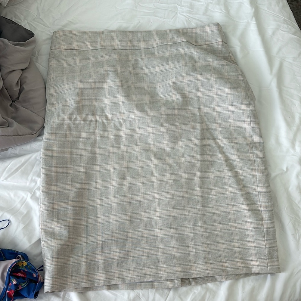 Ann Taylor skirt